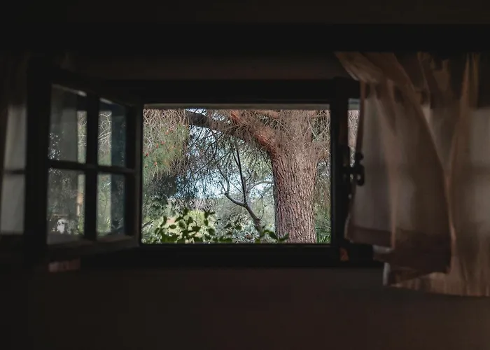 ファームステイ Masseria Piutri Torchiarolo