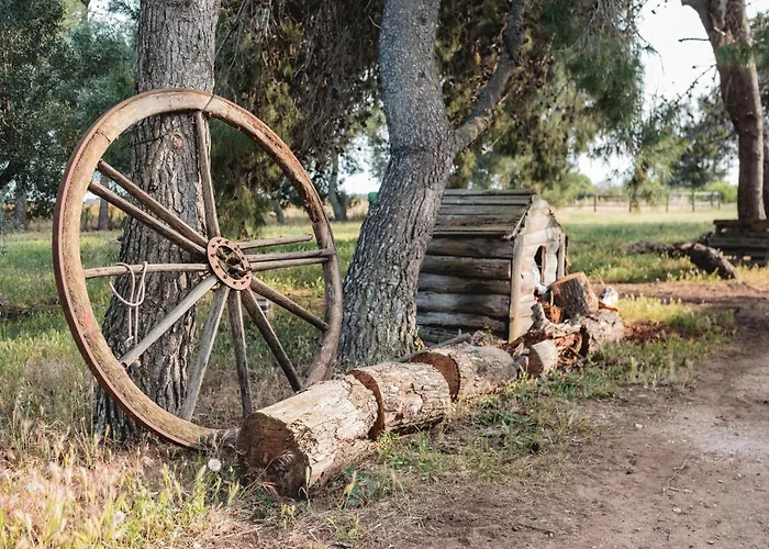 Masseria Piutri ファームステイ