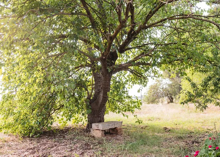 Masseria Piutri ファームステイ *