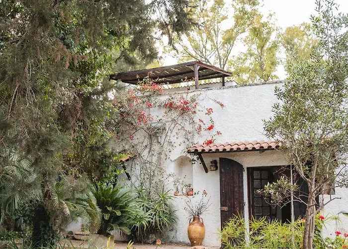 Masseria Piutri ファームステイ Torchiarolo