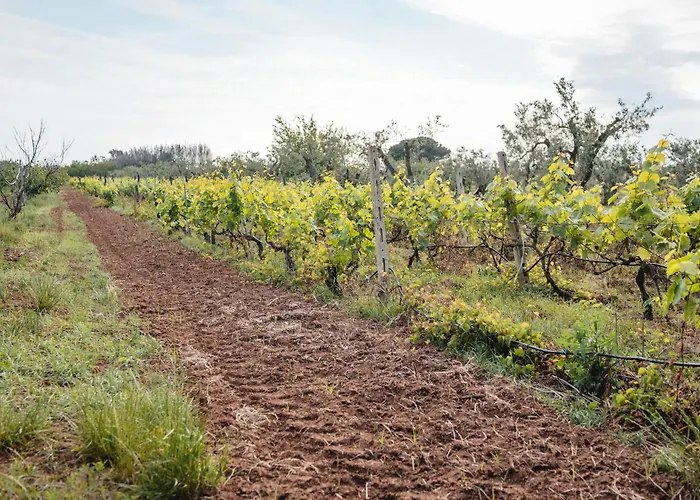 Masseria Piutri ファームステイ