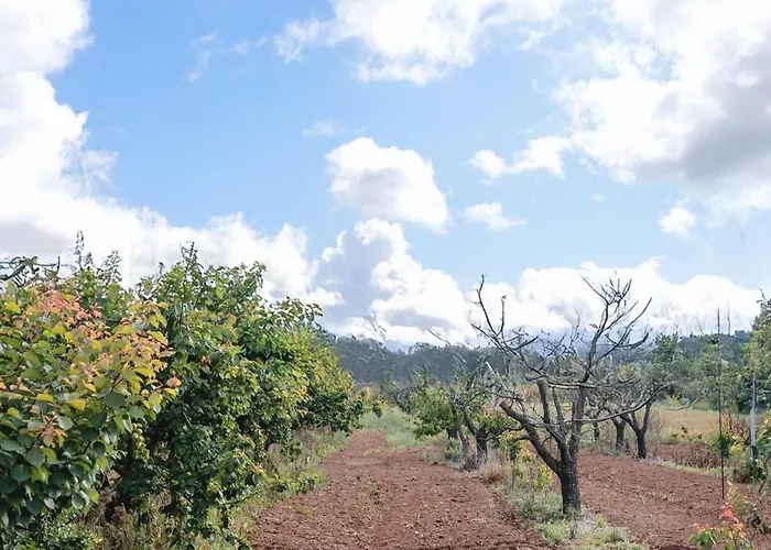 Masseria Piutri ファームステイ *