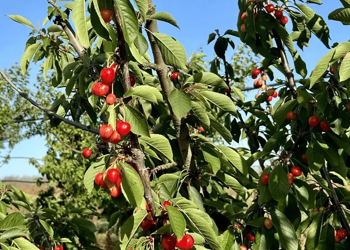 Masseria Piutri Torchiarolo
