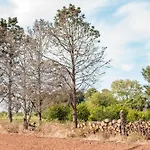 Masseria Piutri