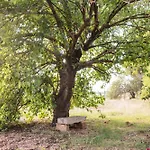 Masseria Piutri בית חווה *