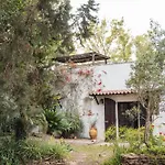Masseria Piutri בית חווה Torchiarolo