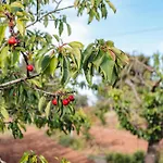 Masseria Piutri בית חווה