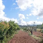 Masseria Piutri בית חווה *
