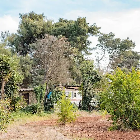 Masseria Piutri 农家乐 *