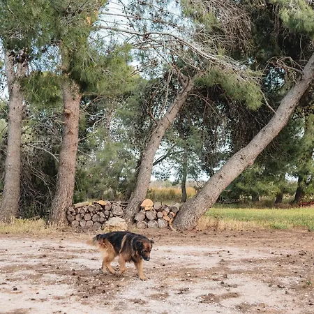 农家乐 Masseria Piutri *