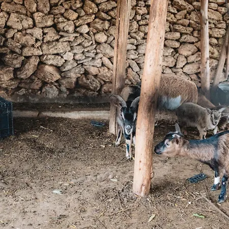 Masseria Piutri Alojamento de Turismo Rural Torchiarolo