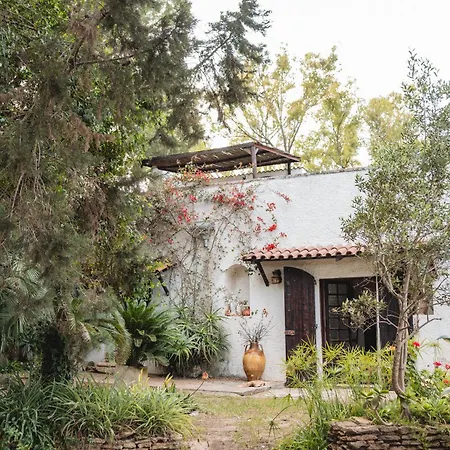 Masseria Piutri 农家乐 托尔基亚罗洛