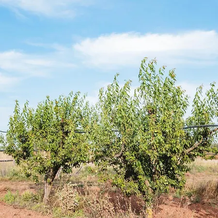 农家乐 Masseria Piutri