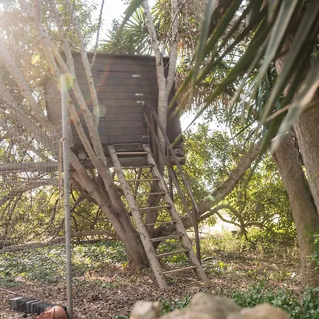 Masseria Piutri * 托尔基亚罗洛