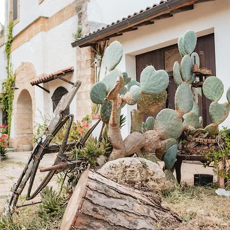 Masseria Piutri * 托尔基亚罗洛