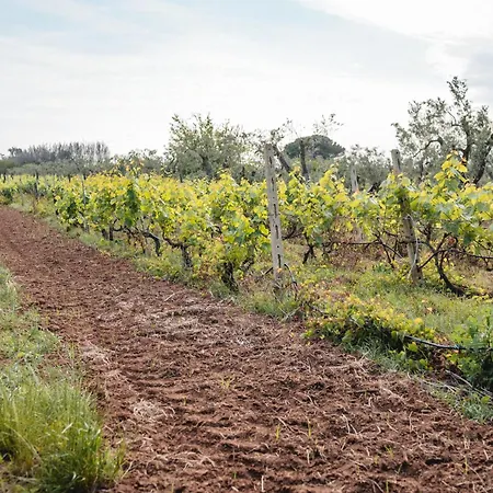 Masseria Piutri Alojamento de Turismo Rural