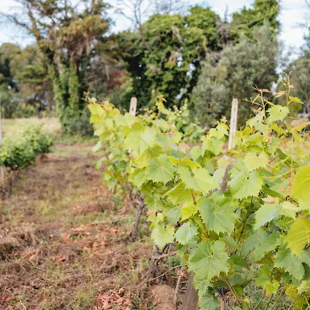 Masseria Piutri *