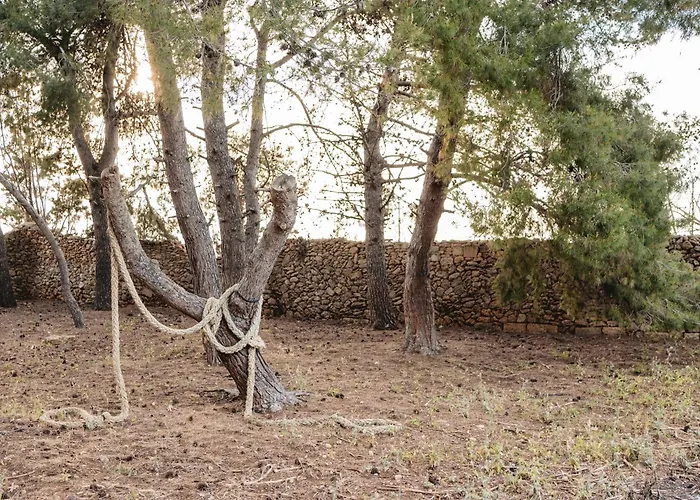 팜스테이 Masseria Piutri