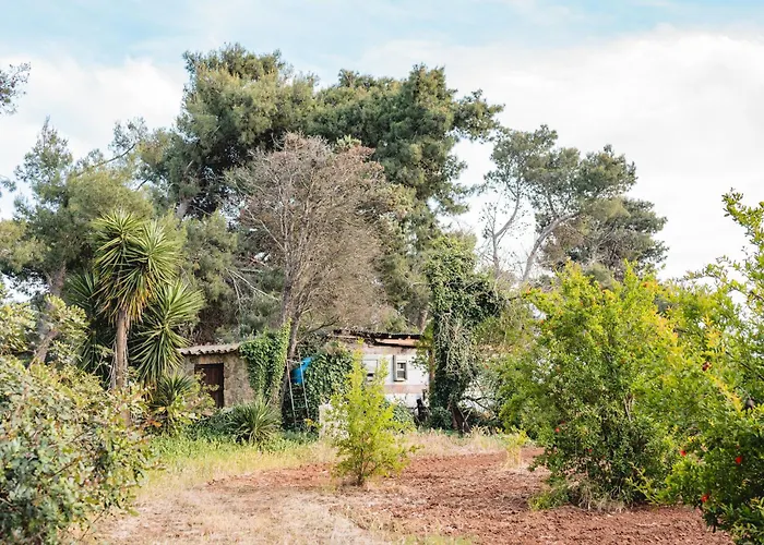 Masseria Piutri 팜스테이 *