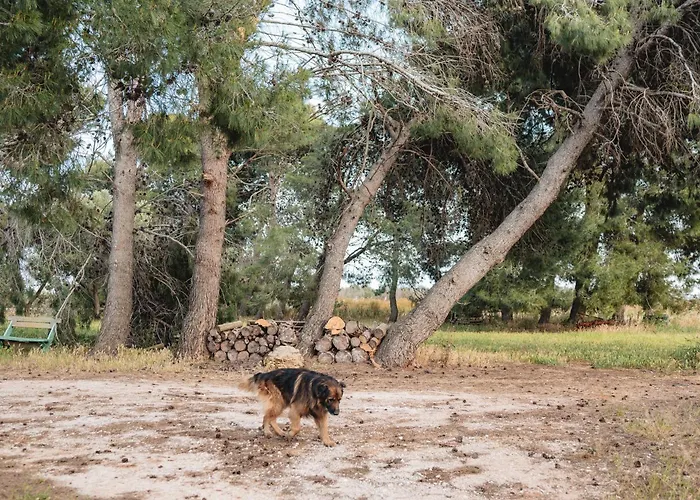 팜스테이 Masseria Piutri *