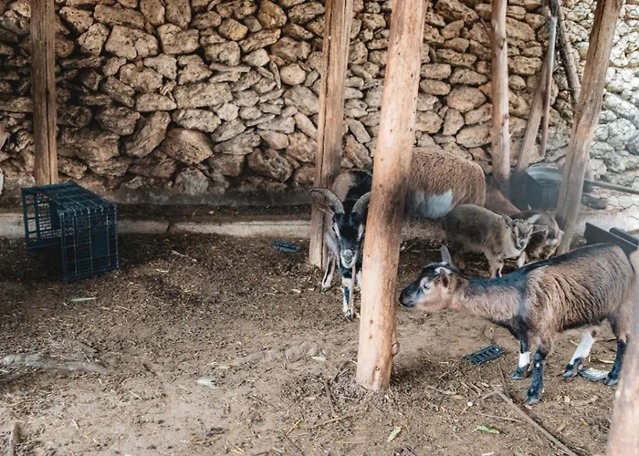 Masseria Piutri 팜스테이 토르치아롤로