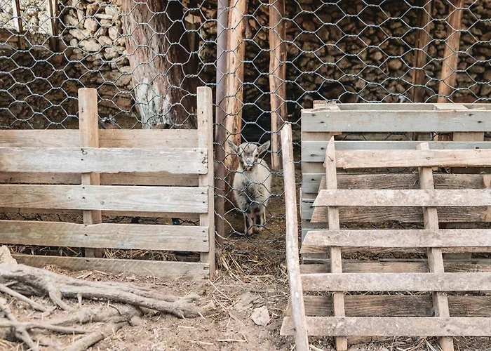 팜스테이 Masseria Piutri