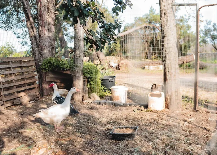 팜스테이 Masseria Piutri 토르치아롤로