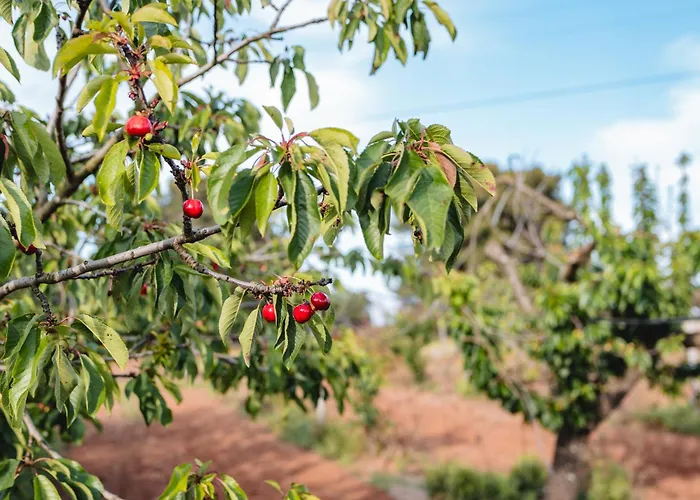 Masseria Piutri 팜스테이